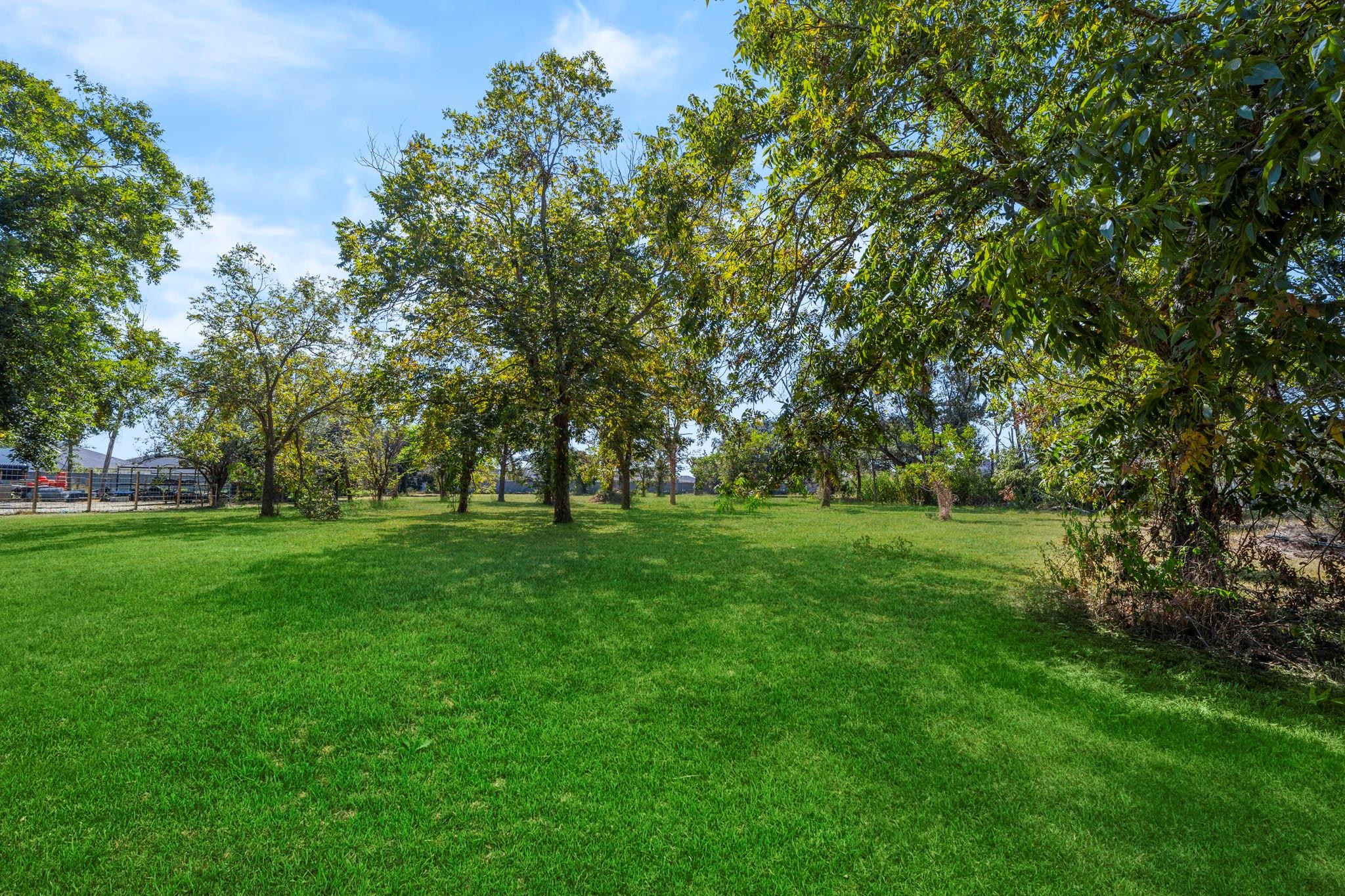 Rosenberg, Texas, 77469, United States, 3 Bedrooms Bedrooms, ,2 BathroomsBathrooms,Residential,Active,1972165