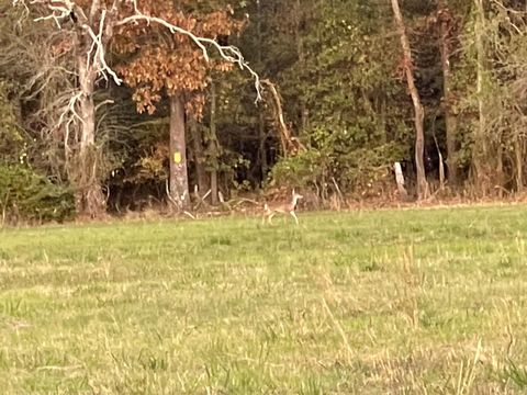 Photo of 0 North Mcgee Bend Loop, Groveton, TX 75845 (MLS # 64607151)