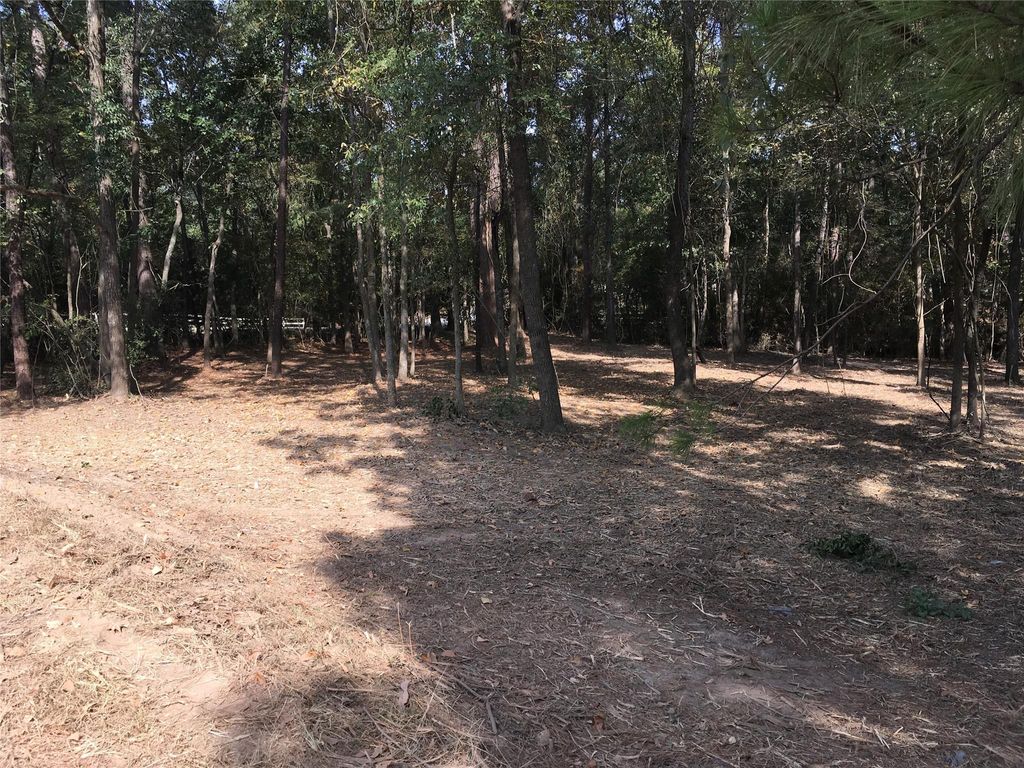Photo of 1930 Autumn Ridge Drive Drive, Conroe, TX 77304 (MLS # 52553769)