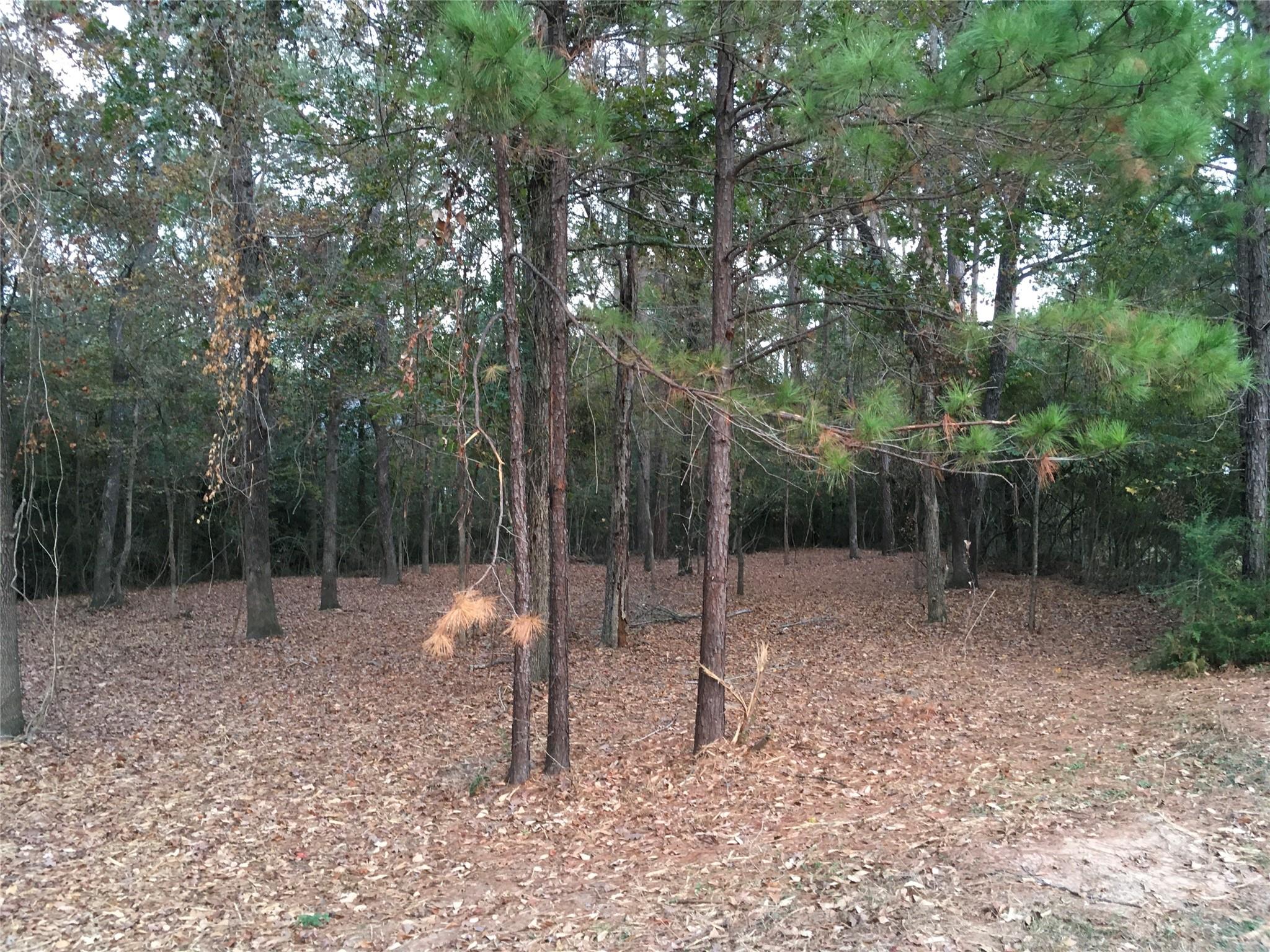 1930 Autumn Ridge Drive Drive