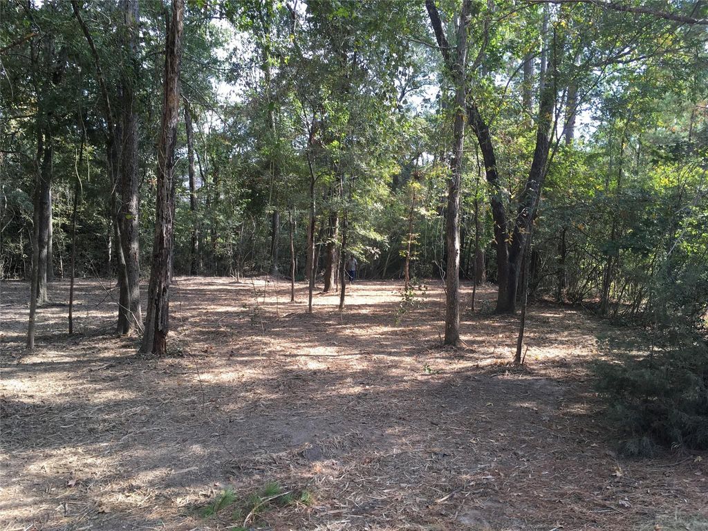 Photo of 1930 Autumn Ridge Drive Drive, Conroe, TX 77304 (MLS # 52553769)