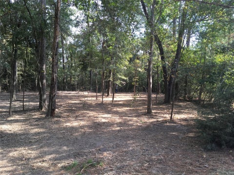 Vacant Land For Sale - 1930 Autumn Ridge Drive Drive<br/> Conroe, TX 77304