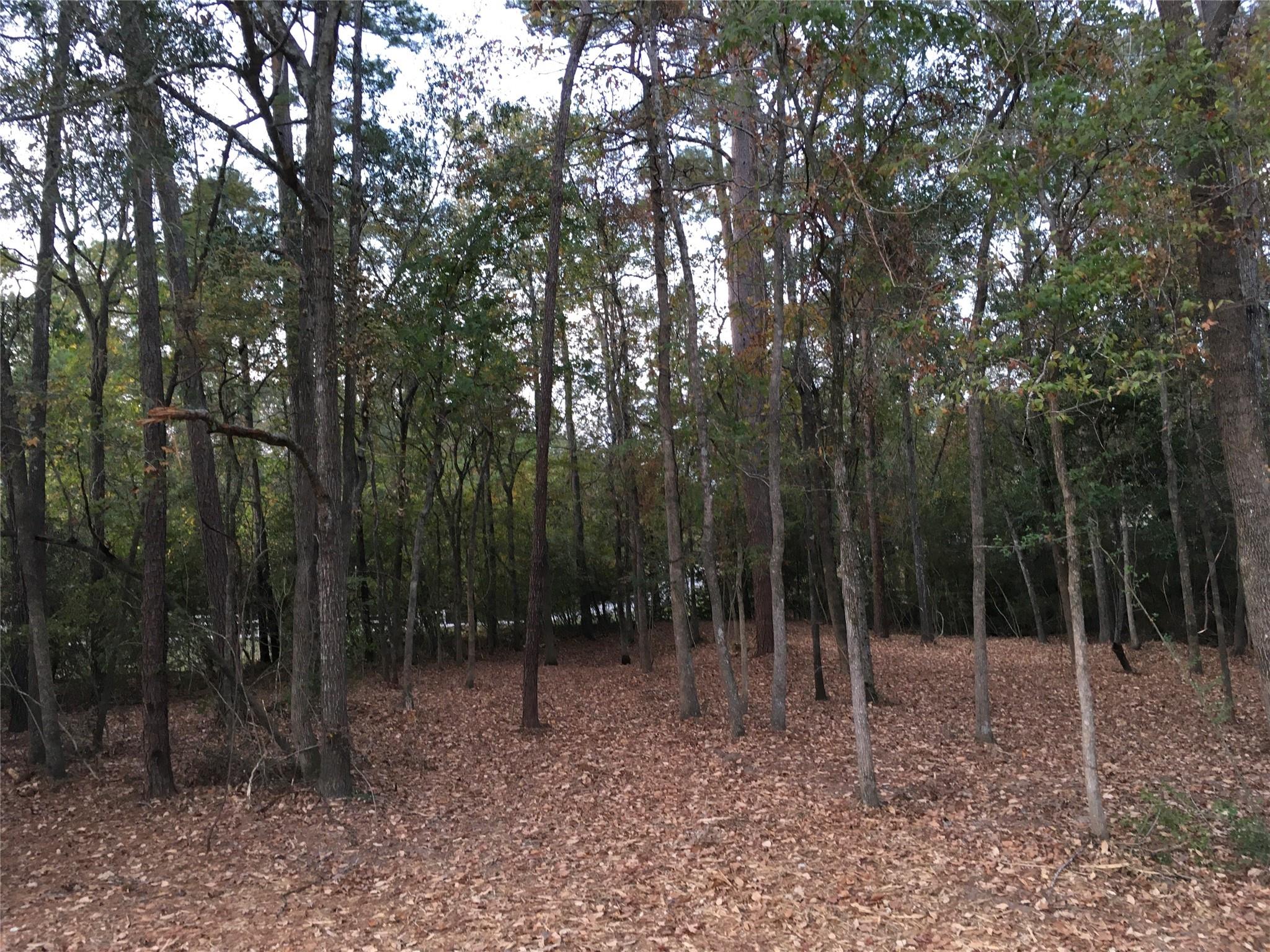 1930 Autumn Ridge Drive Drive