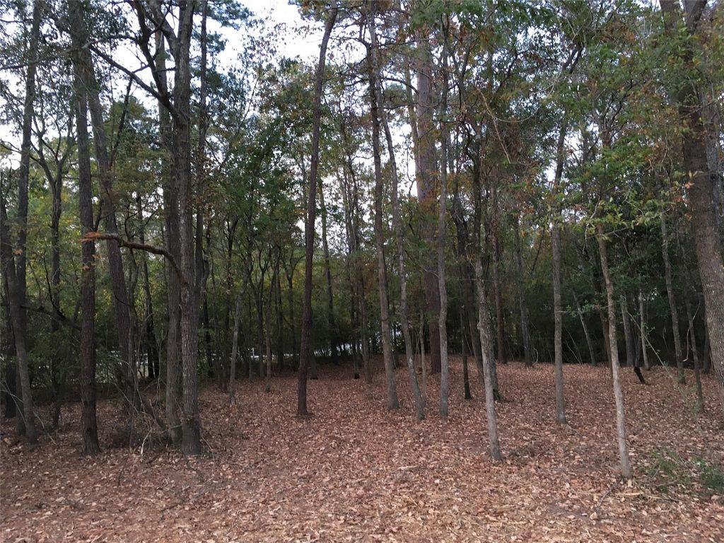 Photo of 1930 Autumn Ridge Drive Drive, Conroe, TX 77304 (MLS # 52553769)