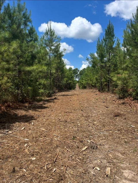 Photo of 10343 Private Road 8012, Bronson, TX 75930 (MLS # 33504960)