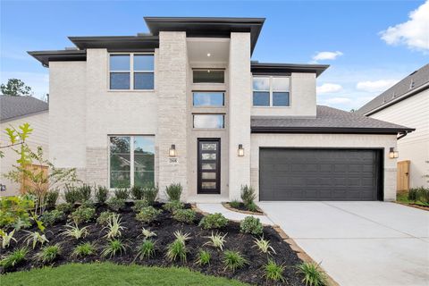 268 Warbler Song Drive Willis TX 77318