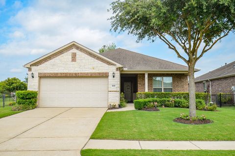 Photo of 234 Cattle Ranch Drive, Richmond, TX 77469 (MLS # 36526012)