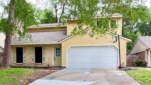 Photo of 37 Rockfern Court, The Woodlands, TX 77380 (MLS # 18151846)