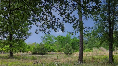 Photo of 35 Lacee Lane, Huntsville, TX 77320 (MLS # 50816487)