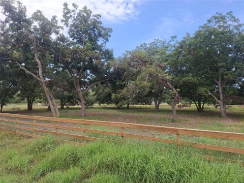 Photo of 315 Pony Lane, Simonton, TX 77485 (MLS # 71946827)