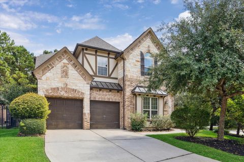 135 Lindenberry Circle Spring TX 77389