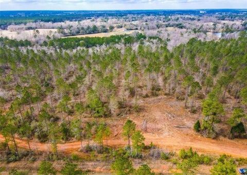 Photo of 396 County Road 4455, Woodville, TX 77664 (MLS # 66806368)