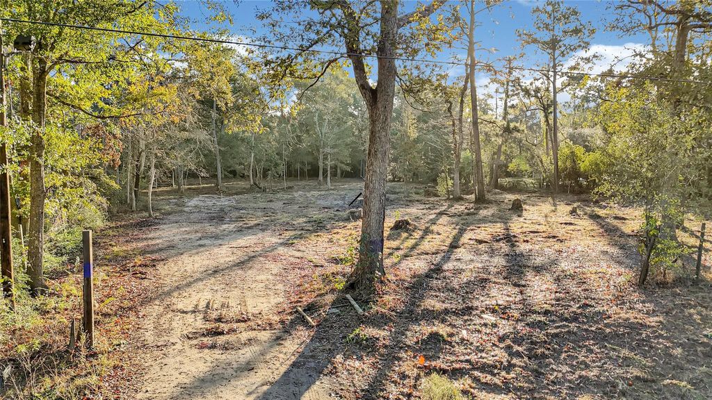 Photo of 18243 Emerald Forest Drive, New Caney, TX 77357 (MLS # 3317786)