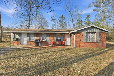 160 Scarlett Drive Shepherd TX 77371