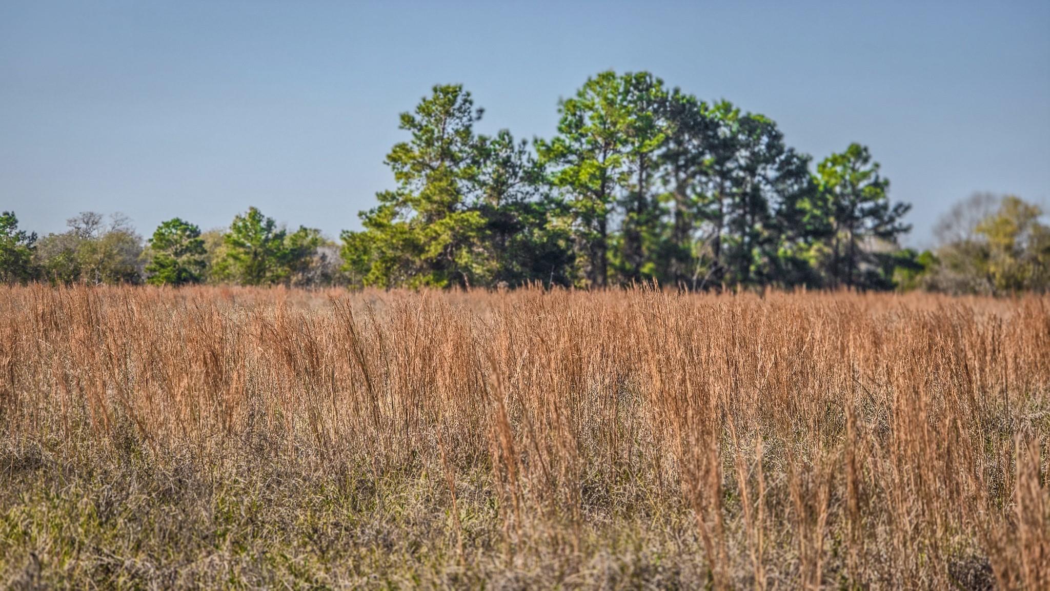 TBD LOT 1 & 2 Podraza Road