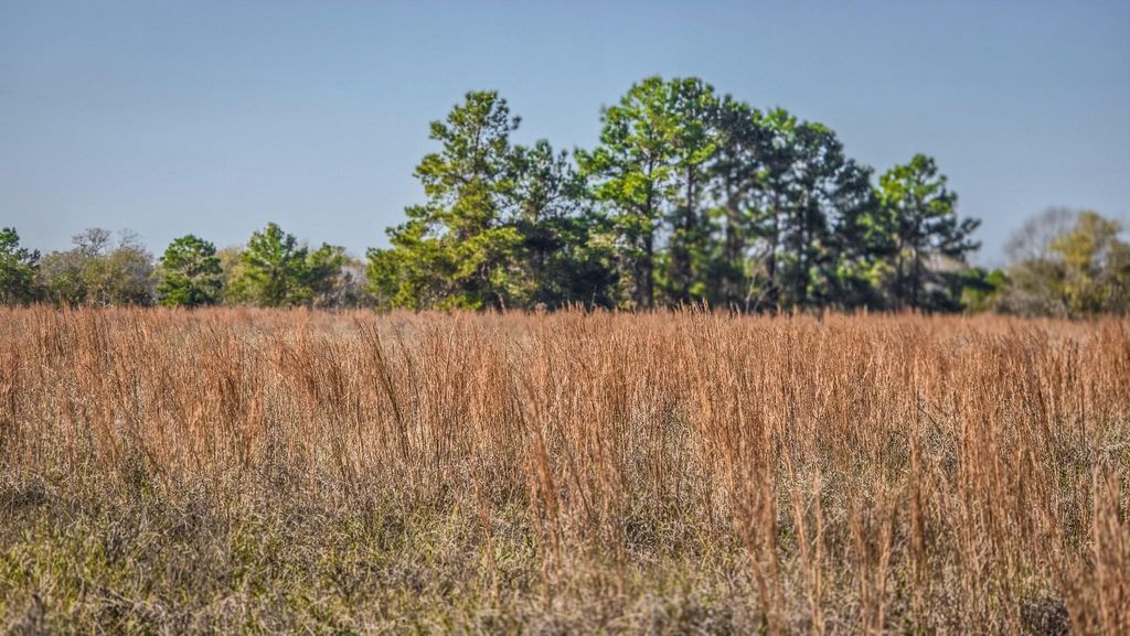 Photo of 1 Podraza Road, New Waverly, TX 77358 (MLS # 73551031)