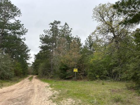 0 Unassigned Name Willis TX 77378