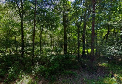 Photo of 0 Pine Creek Road, Hockley, TX 77447 (MLS # 96851955)