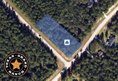 Vacant Land For Sale - 5-6-228 Dipping Vat Road<br/> Huntsville, TX 77340