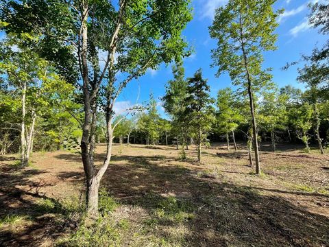 Vacant Land For Sale - LOT 6 E Fm 942<br/> Polk County, Livingston, TX 77351