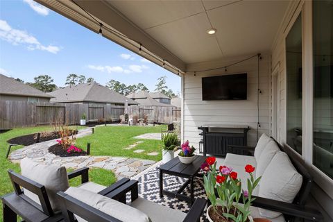 14239 Volcano Perch Drive Conroe TX 77384