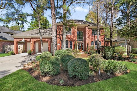 19 Baylark Place The Woodlands TX 77382
