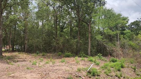 Photo of 10 Sweetleaf Lane, Plantersville, TX 77363 (MLS # 13836596)