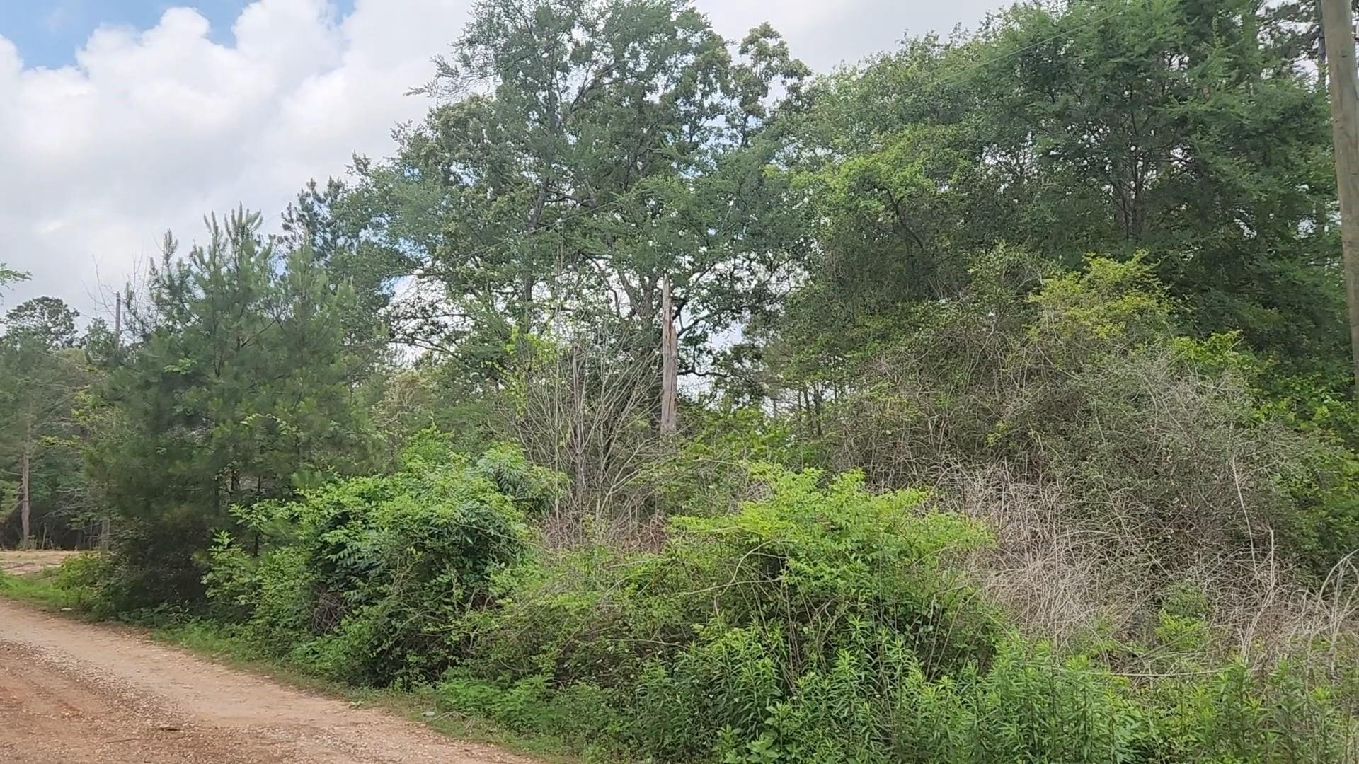 Lot 10 B53 Sweetleaf Lane