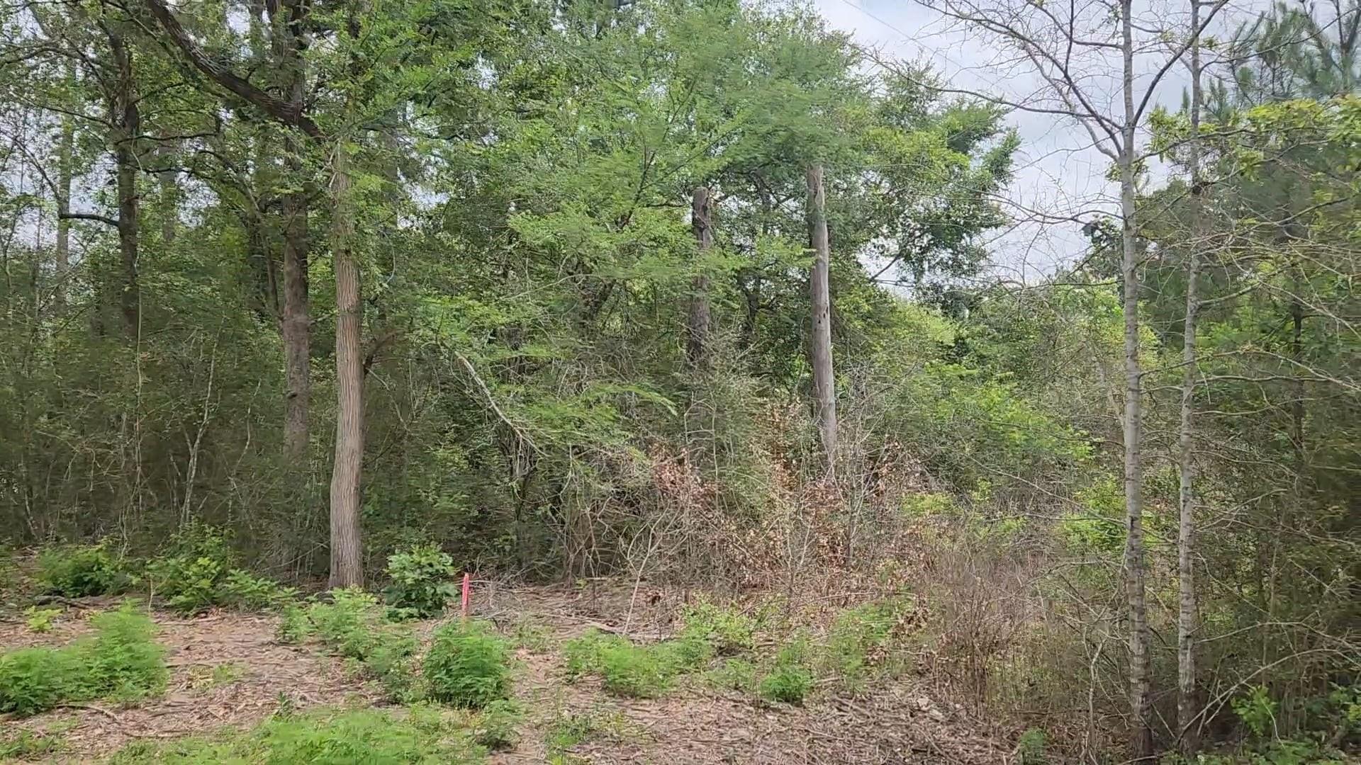 Lot 10 B53 Sweetleaf Lane