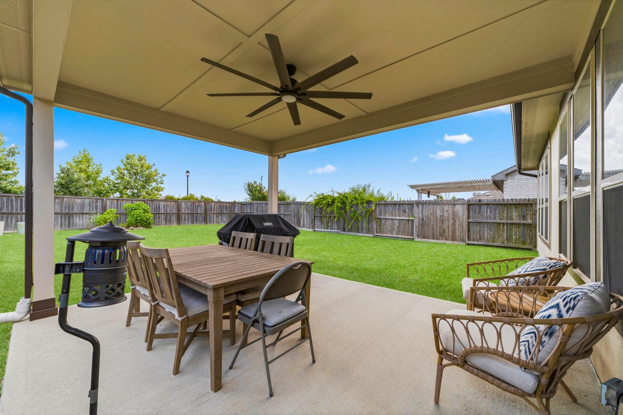 30010 Vallonea Oak