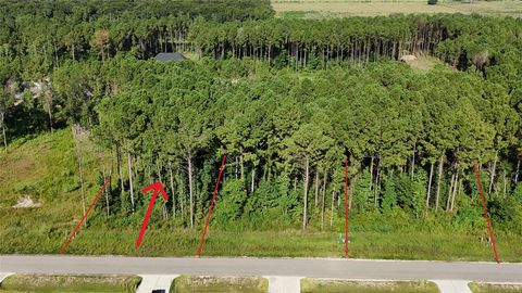 Photo of 3167 Road 66125, Dayton, TX 77535 (MLS # 86464633)