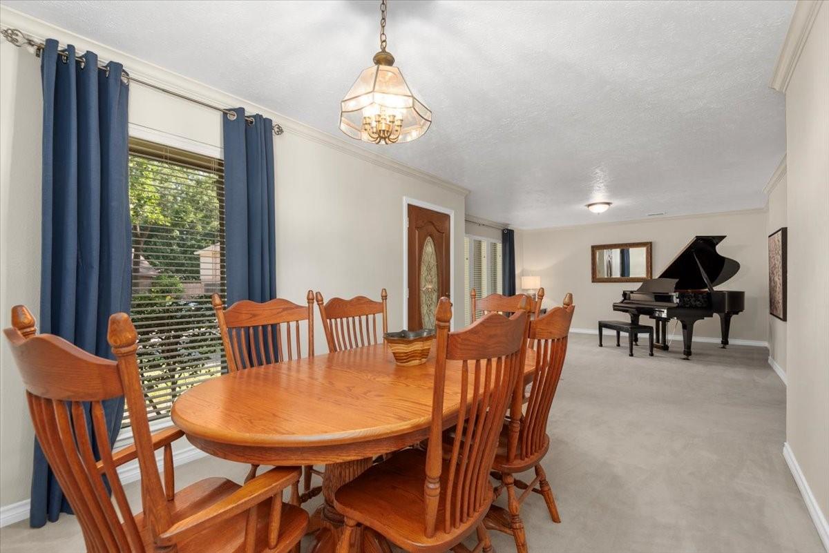 3714 Hill Springs Drive