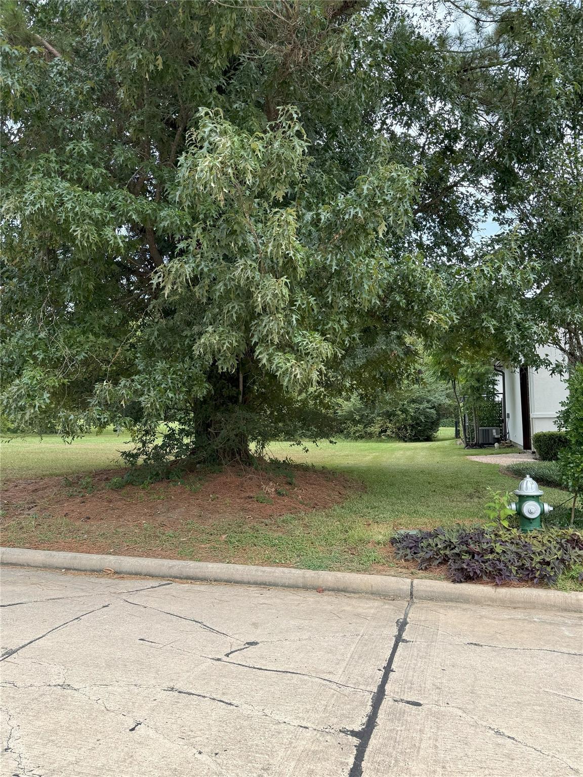 66 Wick Willow Road