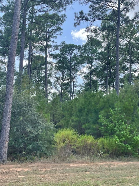 Photo of 9424 Old Cedars Drive, Plantersville, TX 77363 (MLS # 26851292)