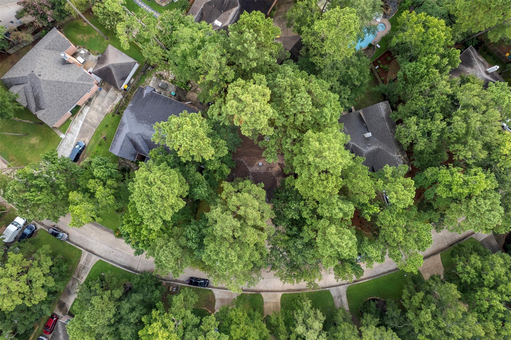 55 Terraglen Dr