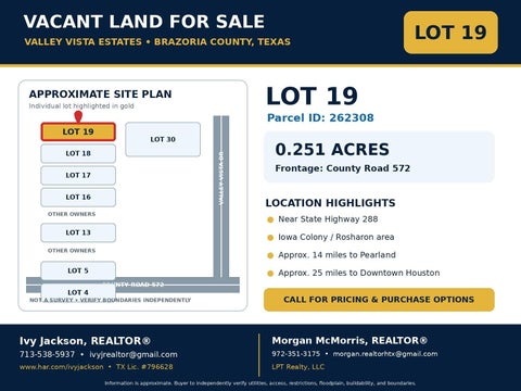 Vacant Land For Sale - LOT 19 County Rd 572<br/> Rosharon, TX 77583