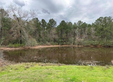 Vacant Land For Sale - 67 & 68 Nottoway Lane<br/> Trinity County, Trinity, TX 75862