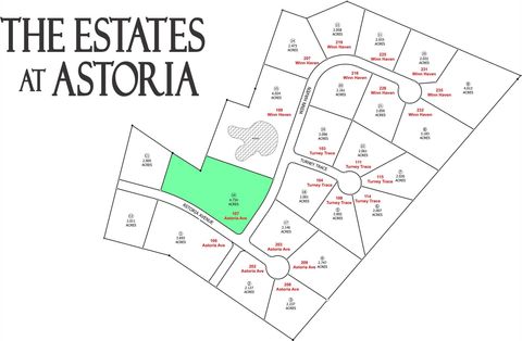 Photo of 107 Astoria Avenue, Round Top, TX 78954 (MLS # 56256855)