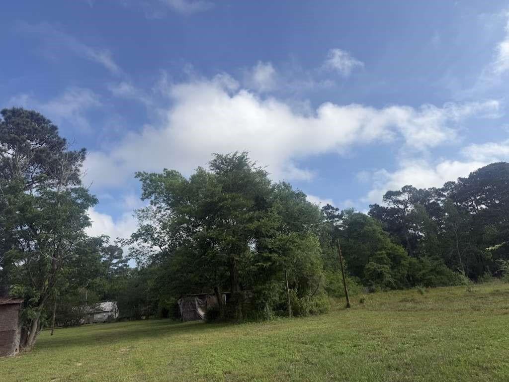 17308 Fm 1488 Road