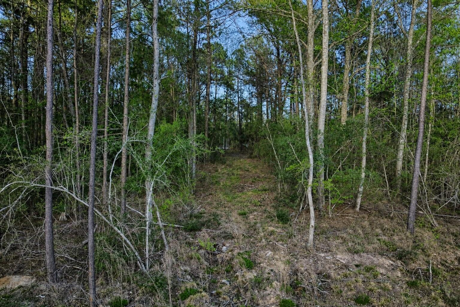 186 Bunkhouse Road