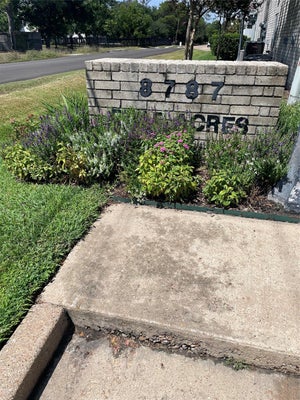 8787 BRAE ACRES RD APT 401, HOUSTON, TX 77074 - Image eb3eaf5a02143b9a3ca0a583fba2d92d/2458012759