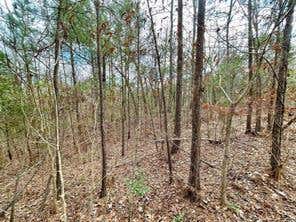 Vacant Land For Sale - 414 County Road 3416<br/> Liberty County, Cleveland, TX 77327
