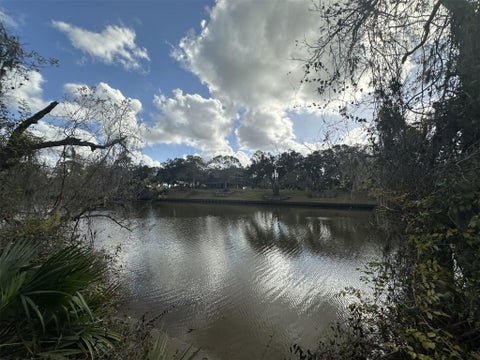 Vacant Land For Sale - County Road 244a<br/> Brazoria, TX 77422
