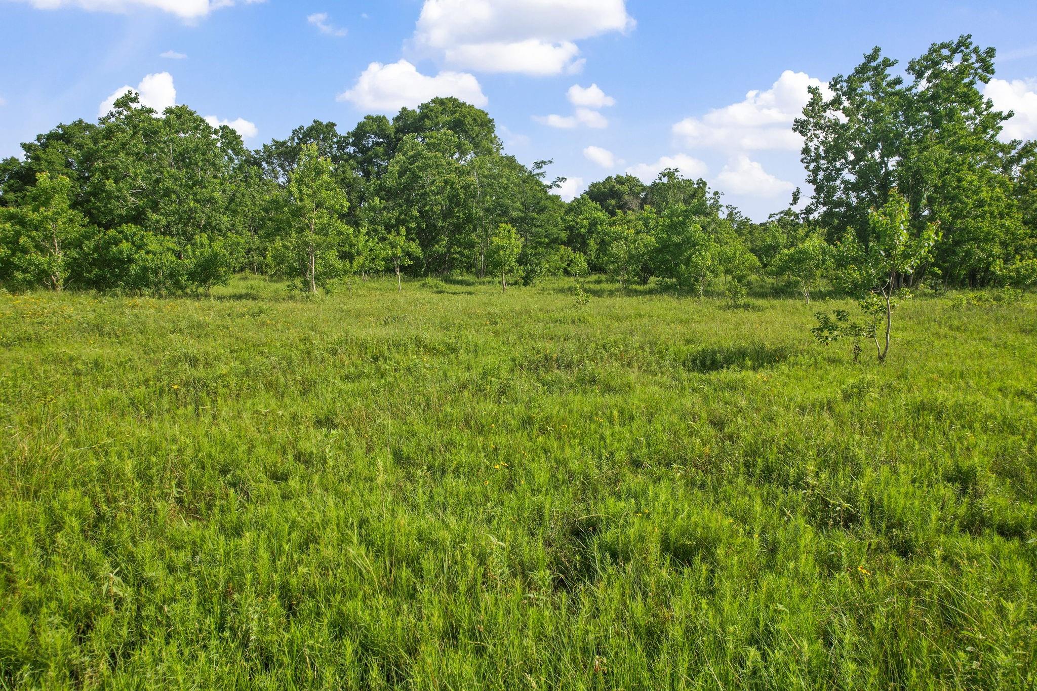 1166 County Road 676