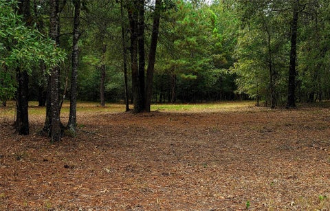 Vacant Land For Sale - LOT 4 Hidden Cove Road<br/> Point Blank, TX 77364
