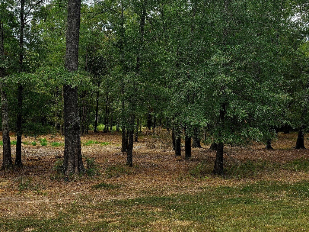 Photo of 4 Hidden Cove Road, Point Blank, TX 77364 (MLS # 25286208)