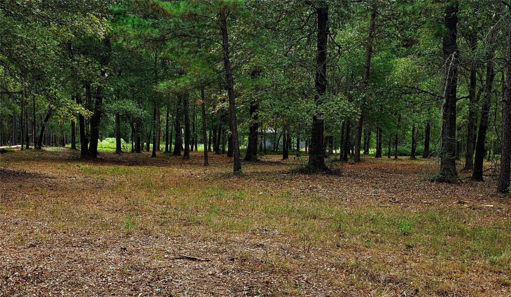 Photo of 4 Hidden Cove Road, Point Blank, TX 77364 (MLS # 25286208)