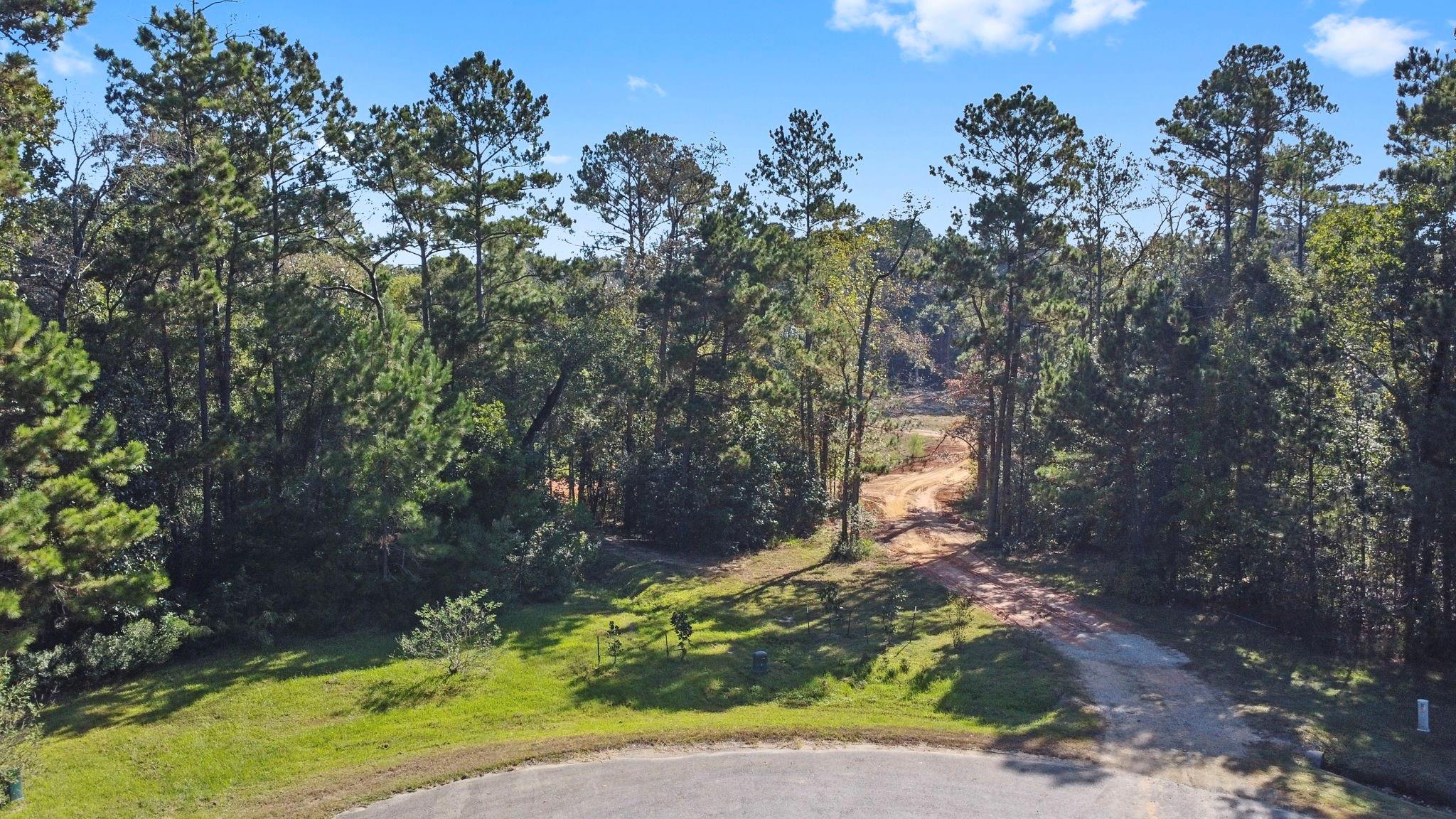 7015 Woodlake Trl