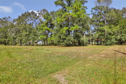 Photo of 1132 County Road 112, Devers, TX 77538 (MLS # 65957015)