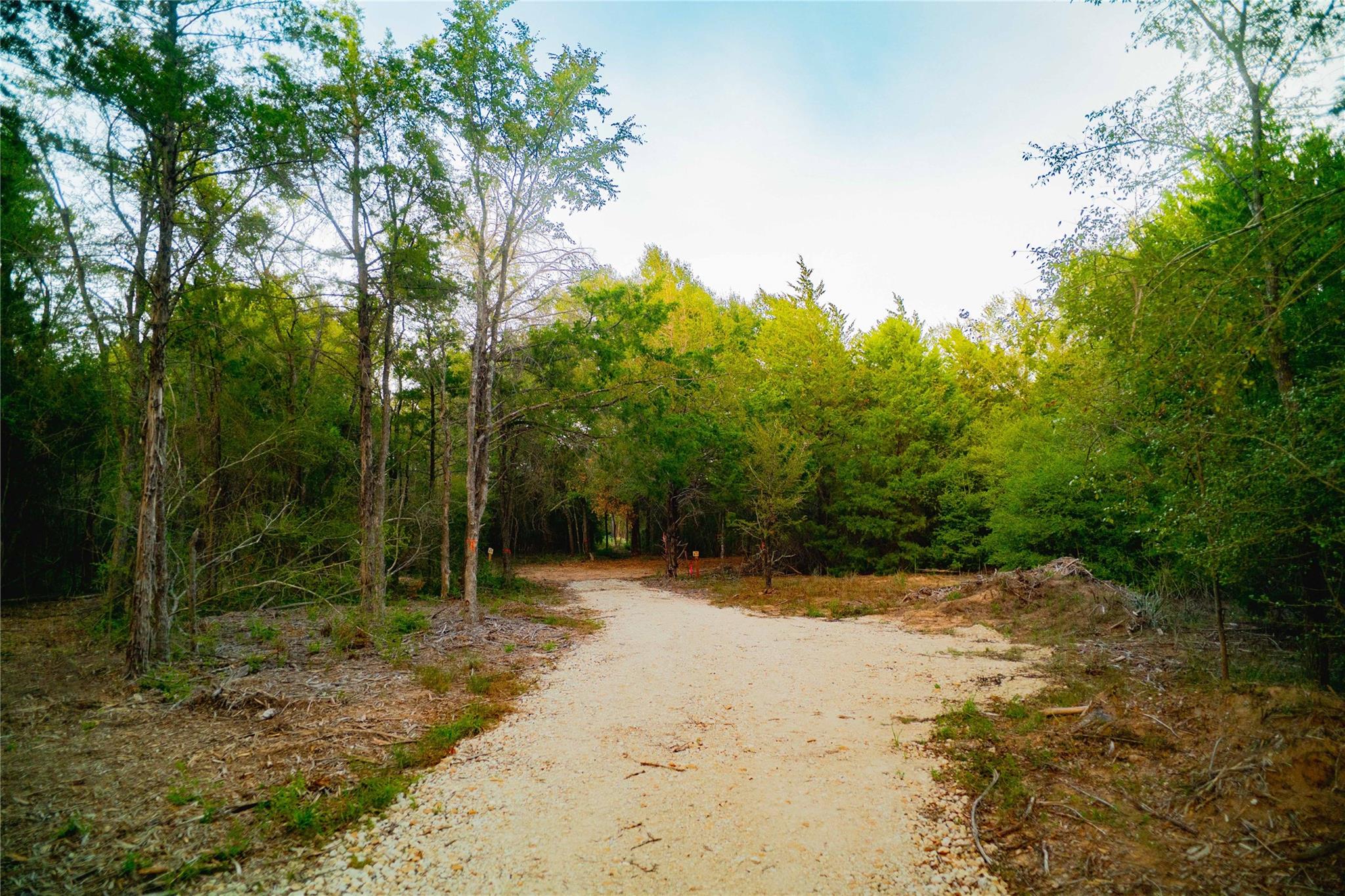 12504 Red Hill Rd